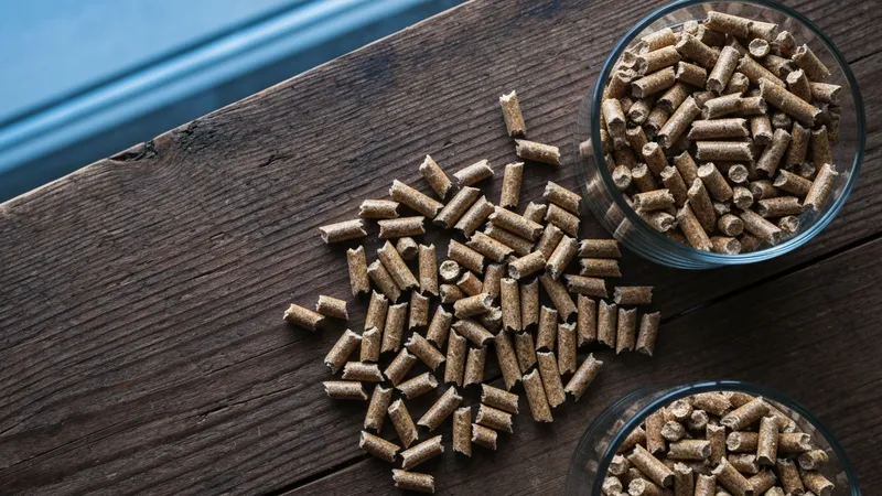 Prix des pellets selon leur qualité